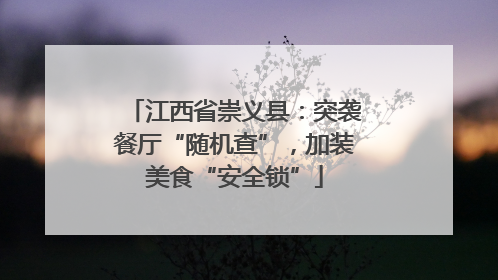 江西省崇义县：突袭餐厅“随机查”，加装美食“安全锁”